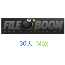 fileboom Max版fboom.me高級會員升級碼30天激活碼(100G/天)